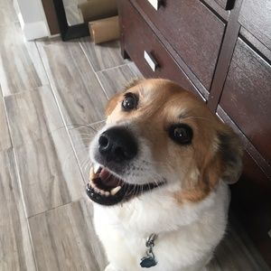 Meet your Posher, Andrea